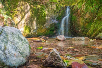 cascade